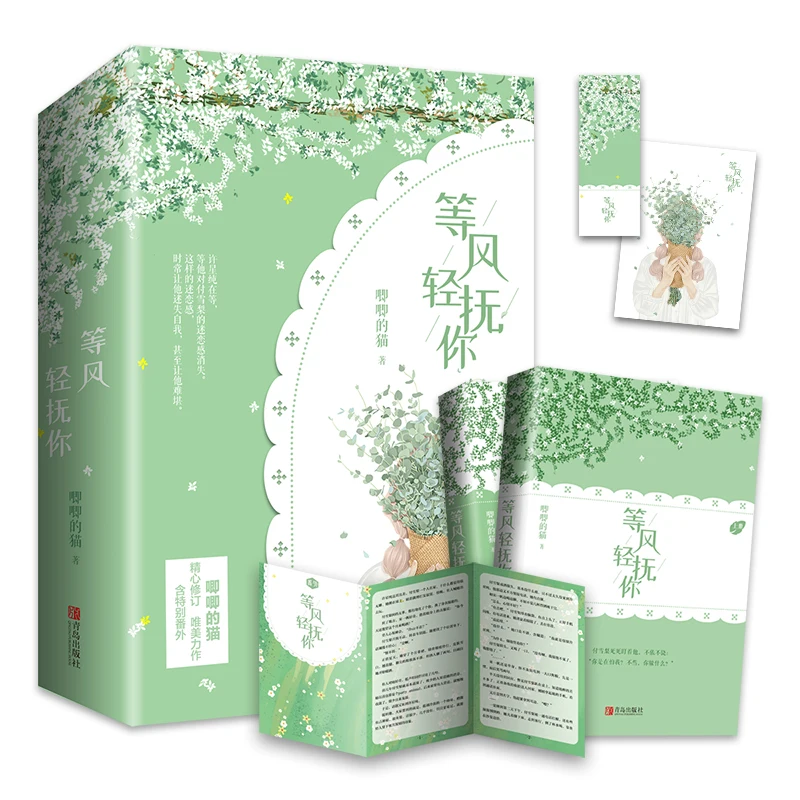 2 Книги / комплект Дън Фън Цин Фу Нито на Оригиналния Роман Джи Дъ Мао Произведения на Младежки колежа Любовен Роман Китайската Художествена книга